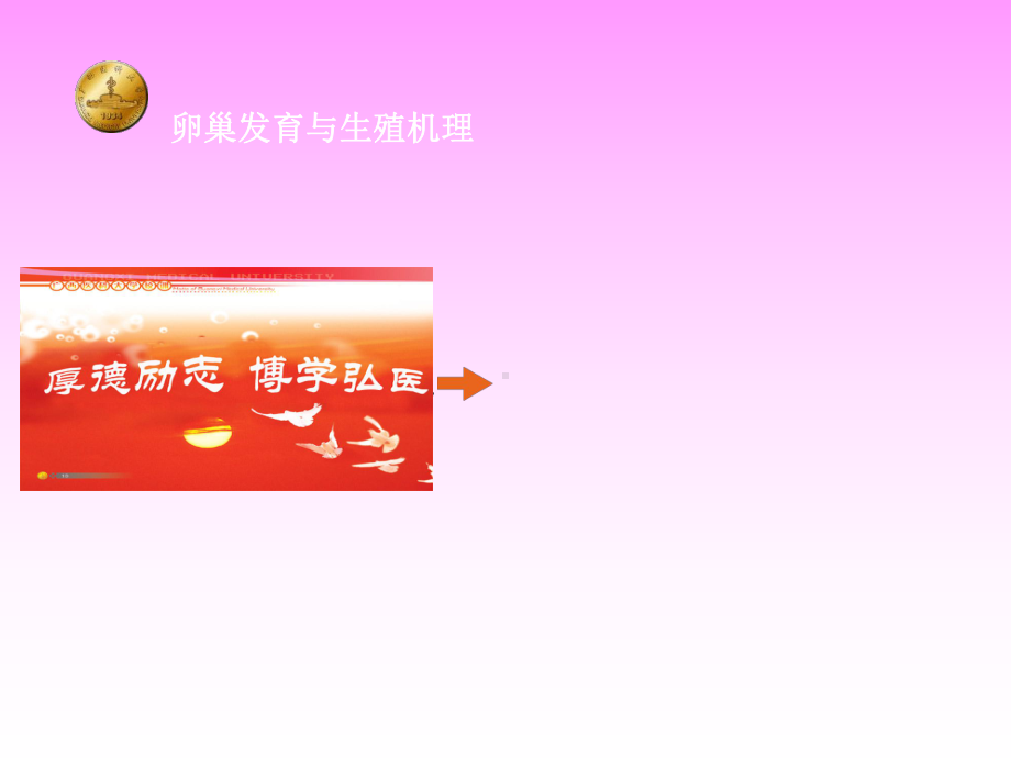 卵巢发育与生殖机理课件.ppt_第1页