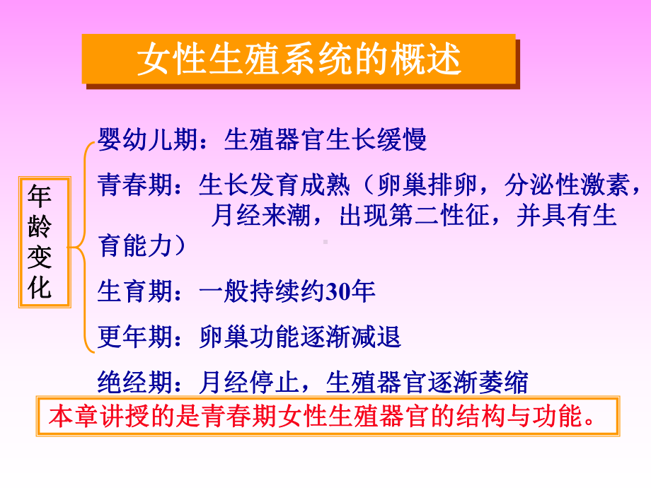 卵巢发育与生殖机理课件.ppt_第3页