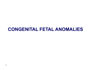 CONGENITAL FETAL ANOMALIES - Amr Nadim：胎儿先天性异常- AMR纳迪姆课件.ppt