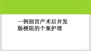 一例剖宫产术后并发肠梗阻个案护理-ppt课件.ppt