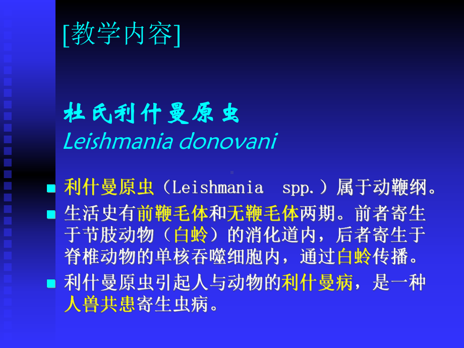 人体寄生虫学-鞭毛虫(杜氏利什曼原虫、蓝氏贾第鞭毛虫-、阴道毛滴虫)课件.ppt_第3页