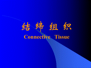 [医学]组织胚胎学课件-结缔组织.ppt