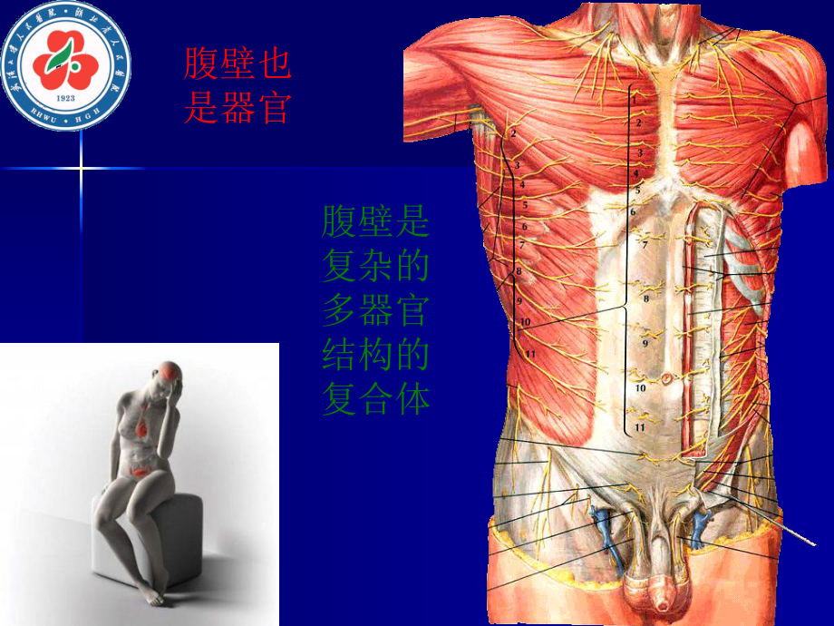 普及腹腔镜阑尾炎PPT精品文档105页课件.ppt_第2页