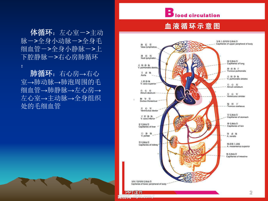 妊娠合并心脏病-ppt课件1.ppt_第2页