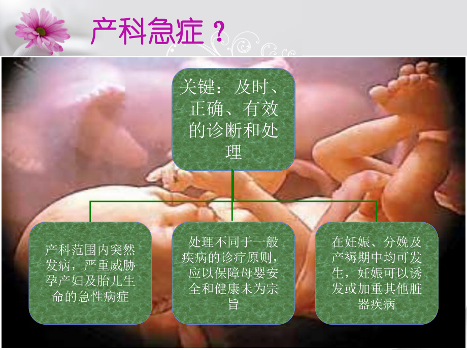 妇产科急救PPT课件.ppt_第3页