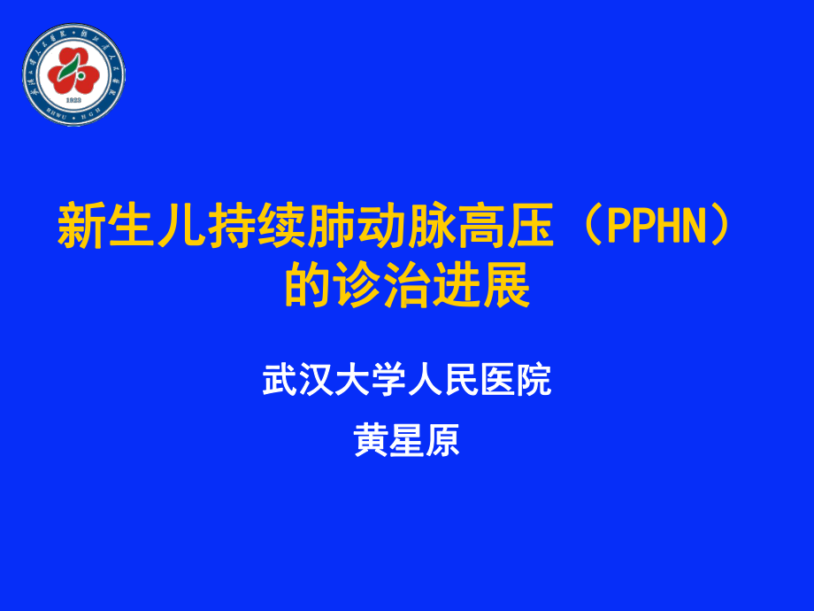 新生儿持续肺动脉高压诊治进展课件.ppt_第1页