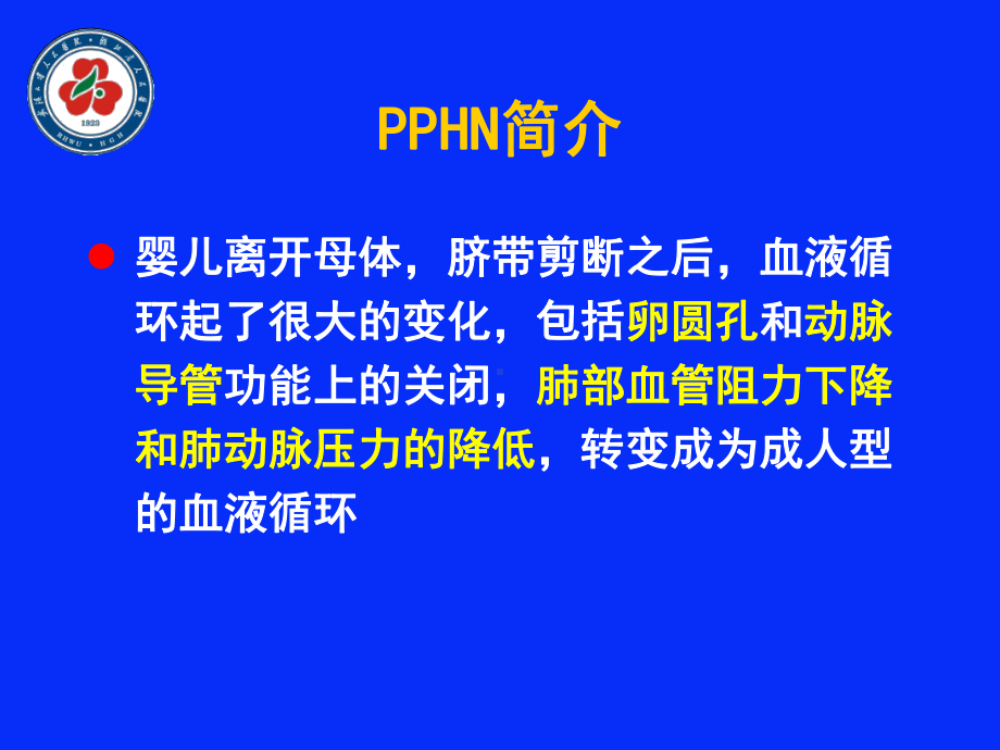 新生儿持续肺动脉高压诊治进展课件.ppt_第3页