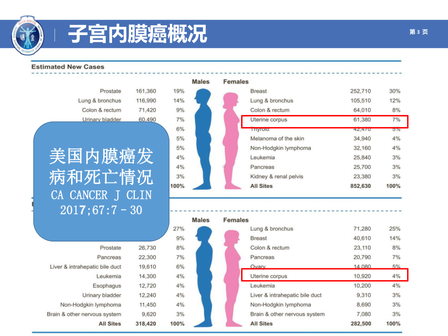 妇产科学-子宫内膜癌课件.ppt_第3页