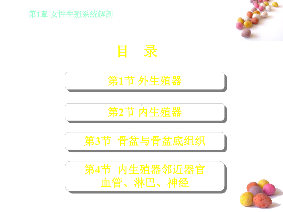 妇产科护理学(全套课件)上部分-ppt课件.ppt_第3页