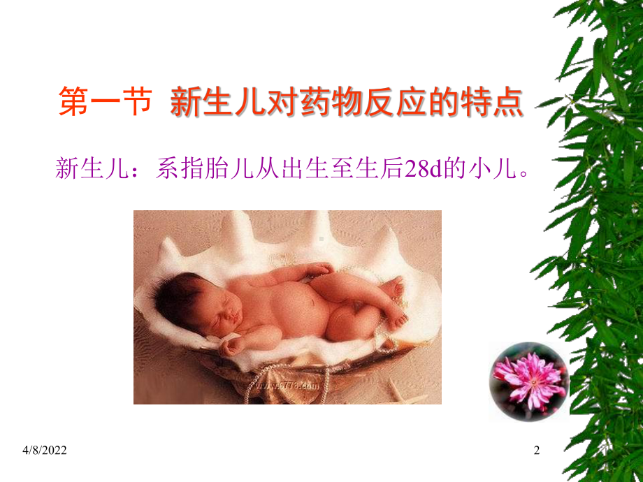 新生儿的临床用药课件.ppt_第2页