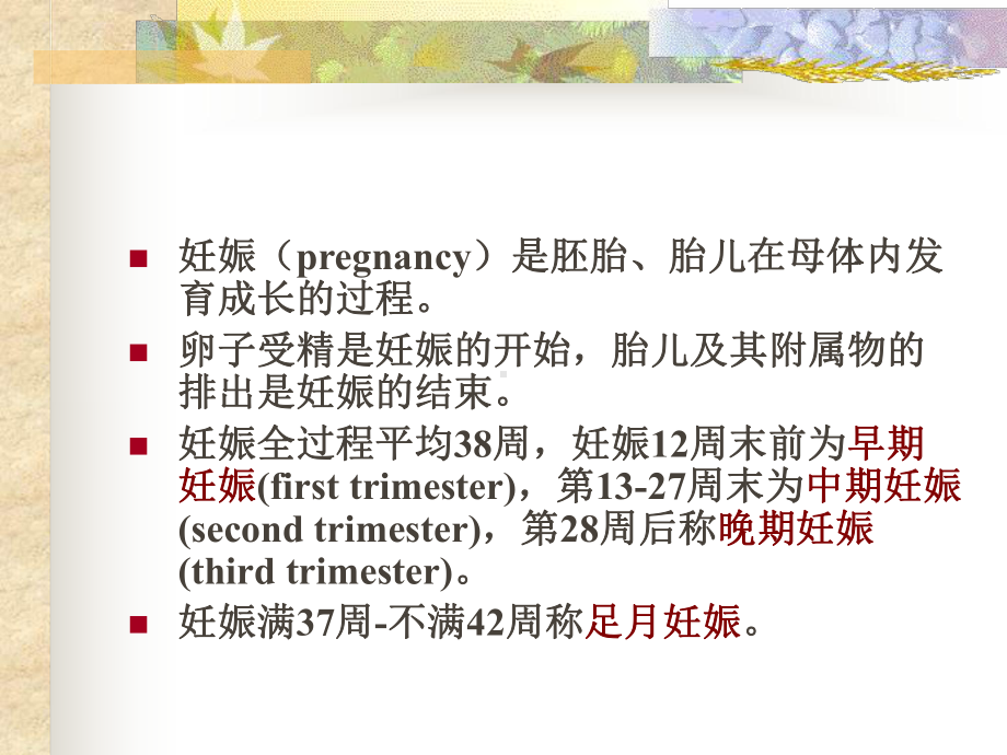 妊娠期母体变化课件.ppt_第2页