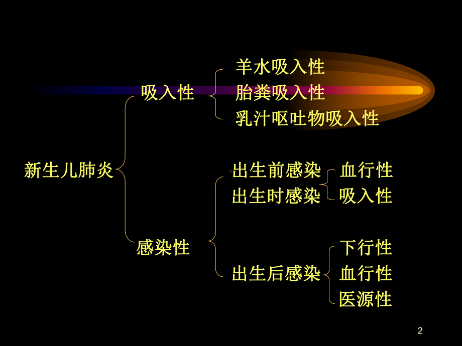 新生儿肺炎讲解课件.ppt_第2页