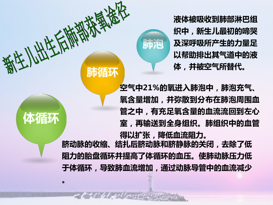 新生儿窒息复苏后护理-ppt课件.ppt_第2页