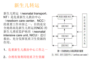 新生儿转运专题培训讲座课件.ppt