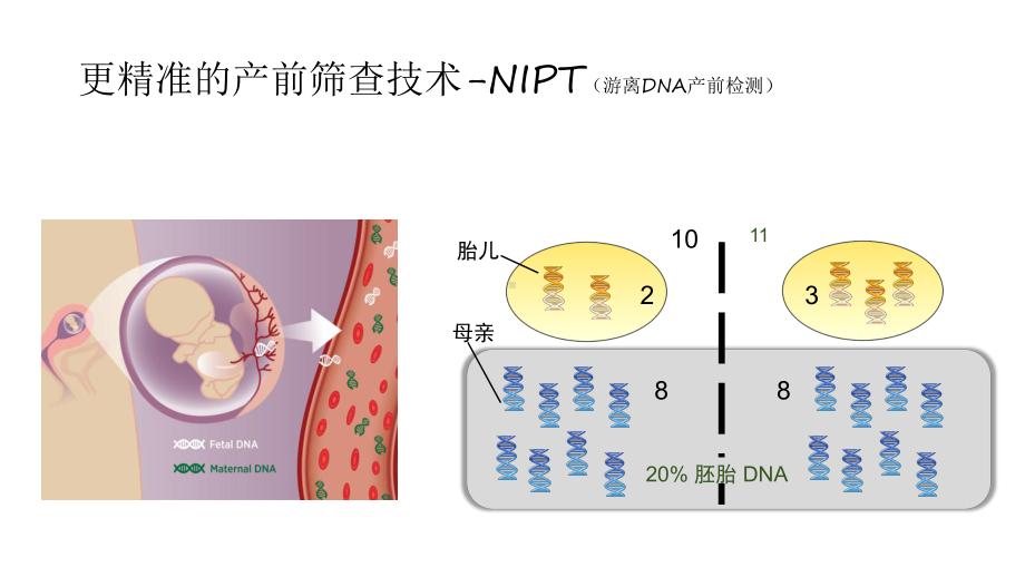 母血胎儿游离DNA产前检测技术：规范与策略 课件.pptx_第3页