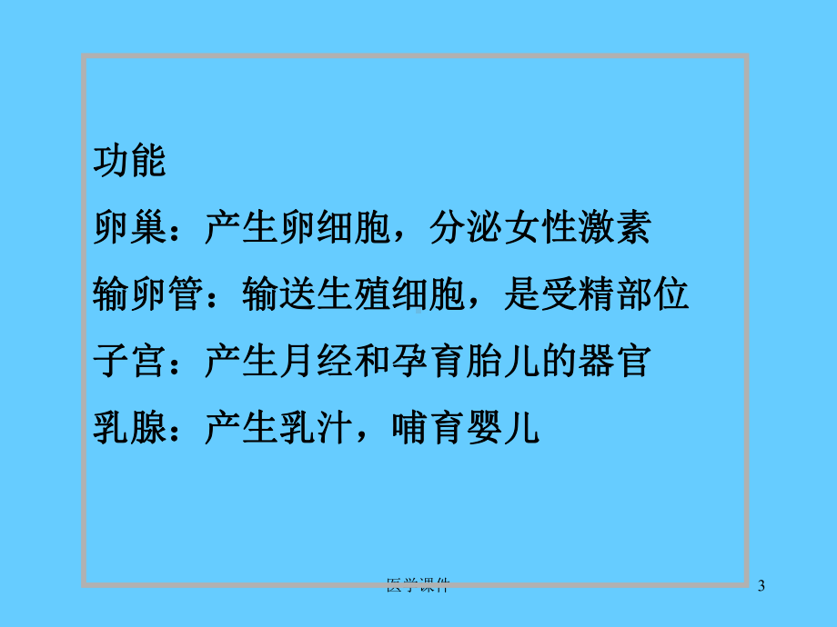 组织胚胎学-女性生殖系统-PPT课件.ppt_第3页