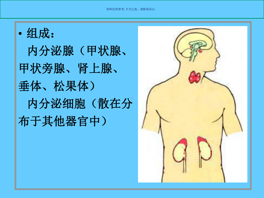 组织胚胎学内分泌系统课件.ppt_第1页