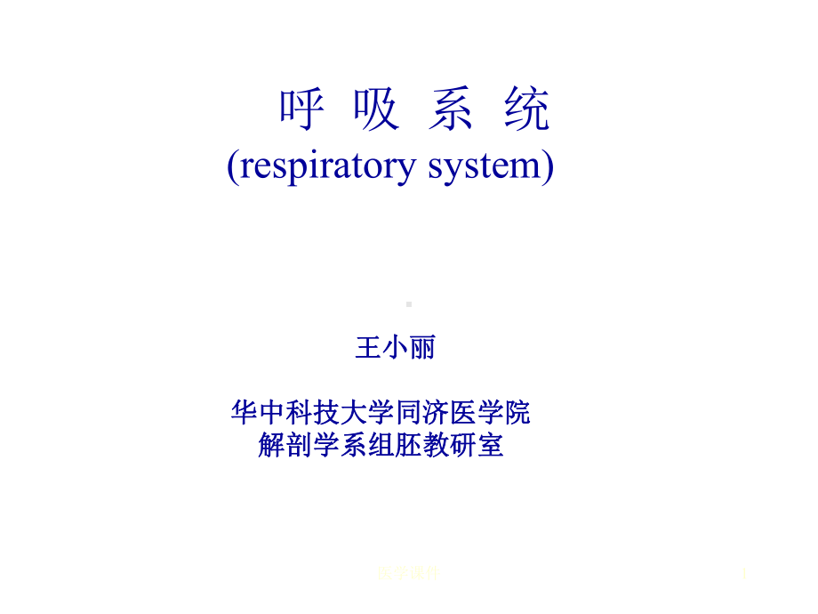 组织学与胚胎学-呼吸系统-PPT课件.ppt_第1页