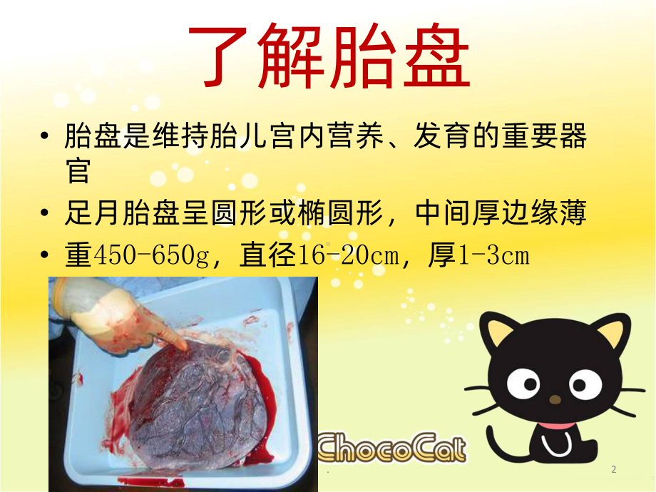 胎盘及脐带异常PPT课件.ppt_第2页