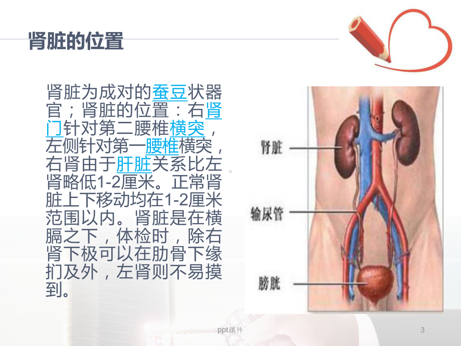 腹腔镜下肾切除术的手术配合-ppt课件.ppt_第3页