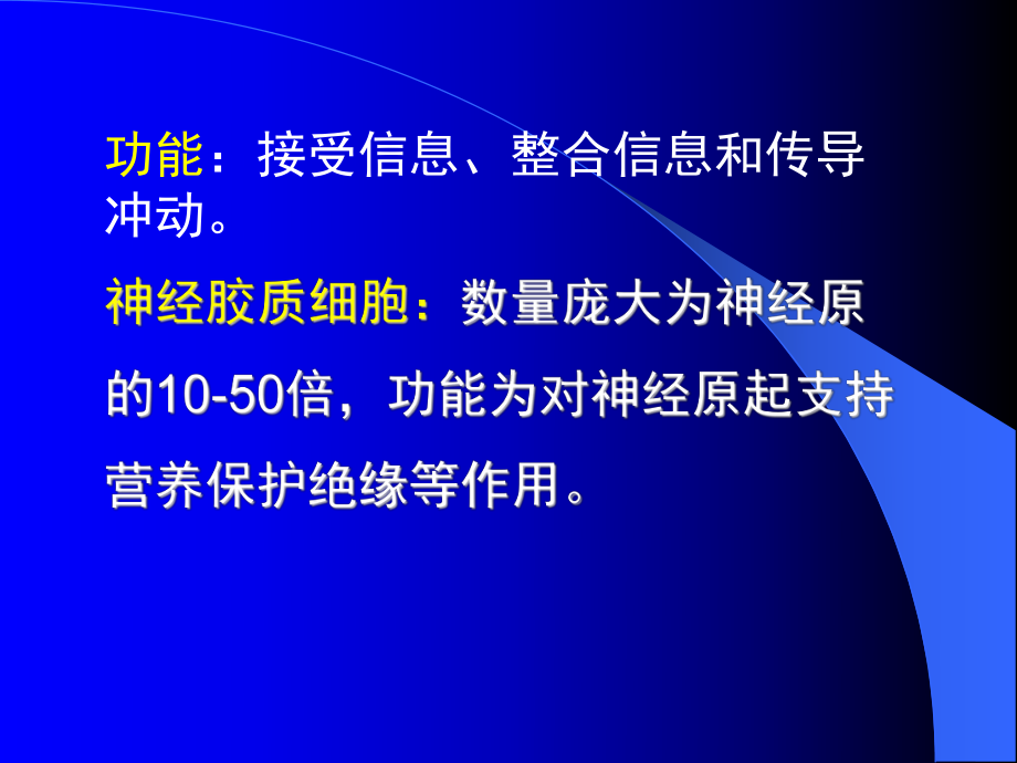 组织胚胎学 教案 课件 第七章 神经系统.ppt_第3页