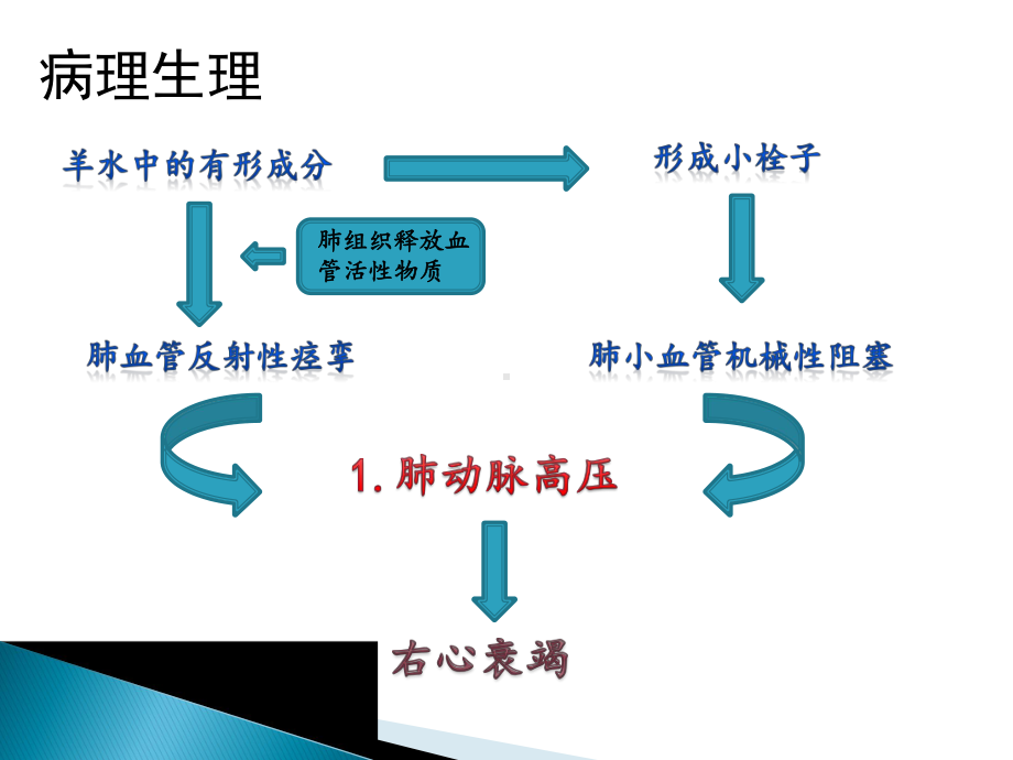 羊水栓塞的护理PPT课件.pptx_第3页