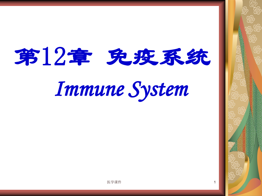 组织学与胚胎学-免疫系统-PPT课件.ppt_第1页