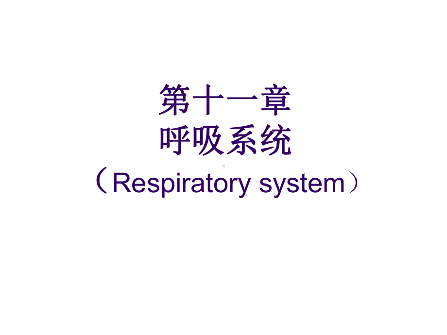 第十一章呼吸系统 动物组织胚胎学课件.ppt_第1页