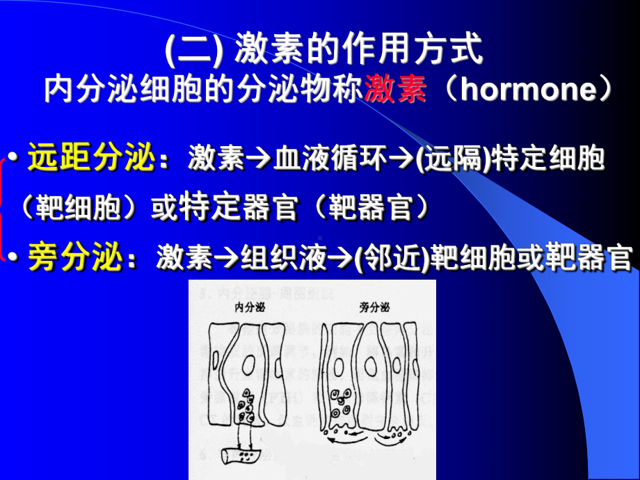 组织胚胎学课件 内分泌kqz1.ppt_第3页