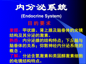 组织胚胎学课件 内分泌kqz1.ppt