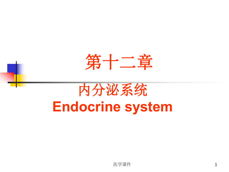 组织胚胎学-内分泌系统-PPT课件.ppt_第1页