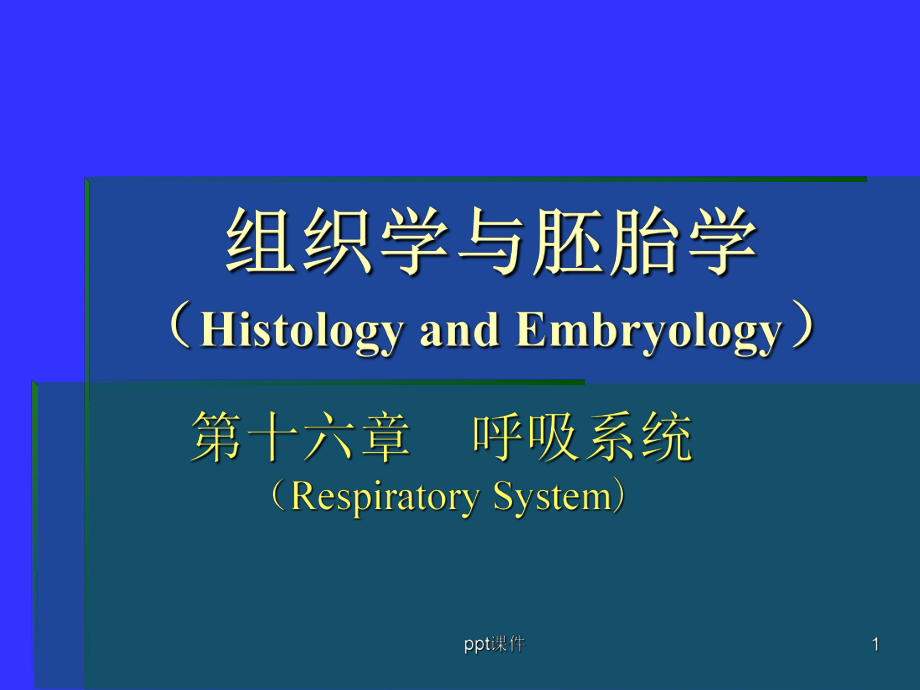 组织学与胚胎学-呼吸系统-ppt课件.ppt_第1页