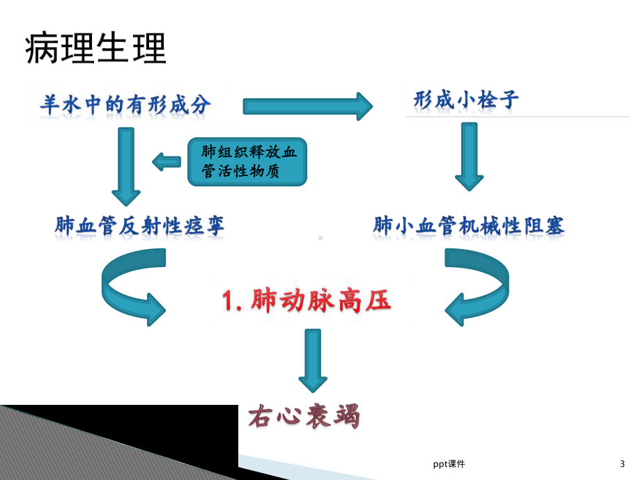 羊水栓塞的护理-ppt课件.ppt_第3页