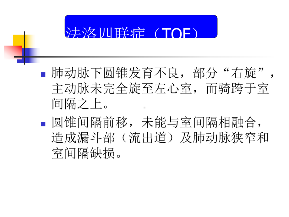 胎儿早孕期畸形筛查PPT课件.ppt_第3页