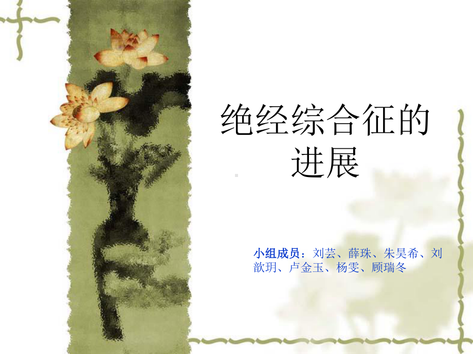 绝经综合征.课件.ppt_第1页