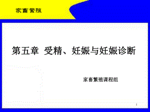 第五章 受精、妊娠与妊娠诊断课件.ppt