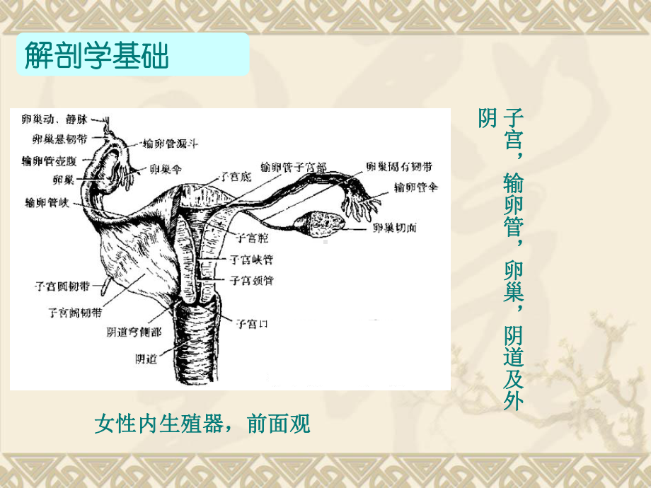 血管介入治疗在妇产科中应用课件.ppt_第2页