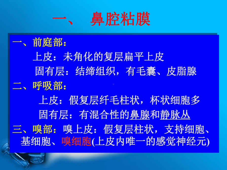 课件（组织学与胚胎学）第16章 呼吸系统.pptx_第3页