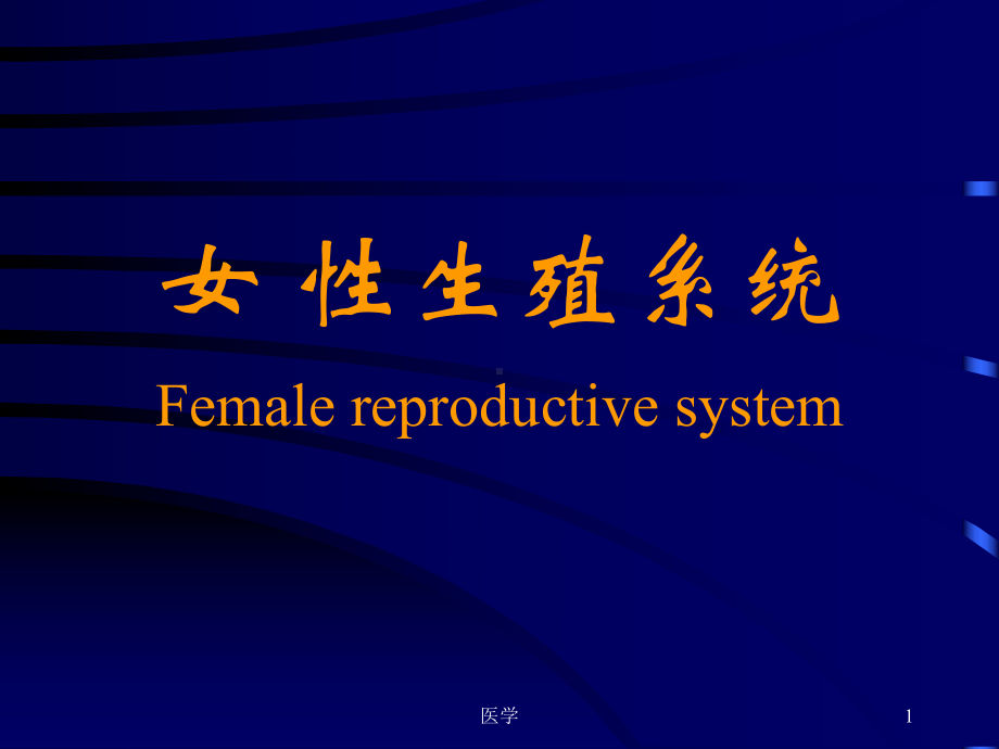 组织胚胎学-女性生殖系统-PPT课件.ppt_第1页