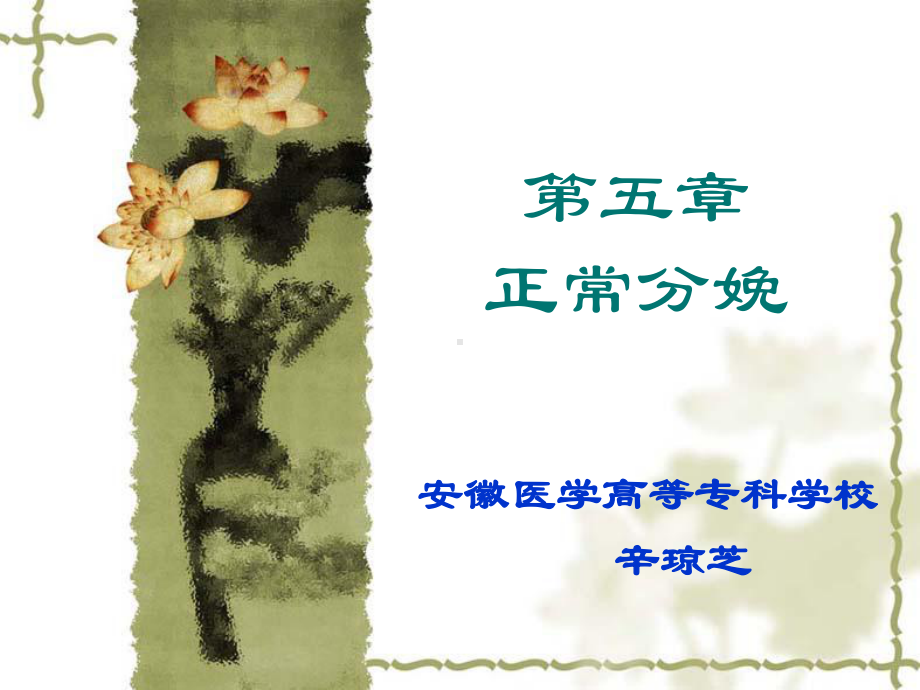 第5章-正常分娩课件.ppt_第1页