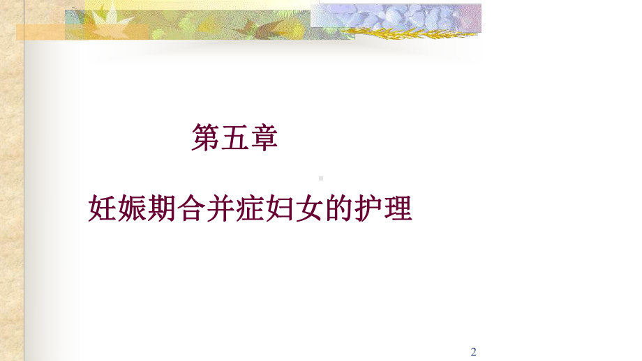 第五章妊娠期合并症妇女护理课件.ppt_第2页