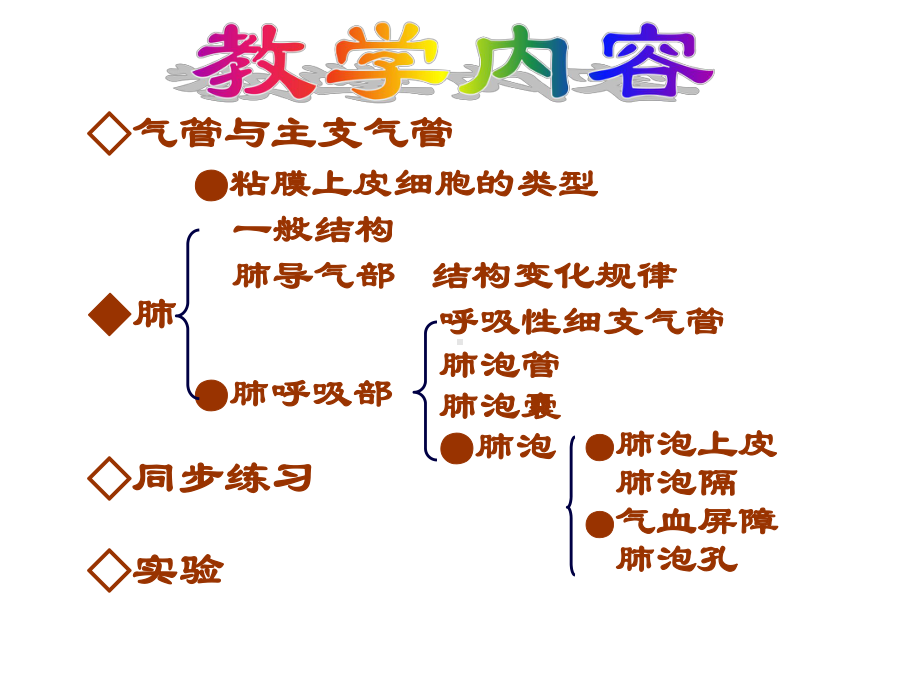 组织学与胚胎学-呼吸系统 (2) 课件.ppt_第3页