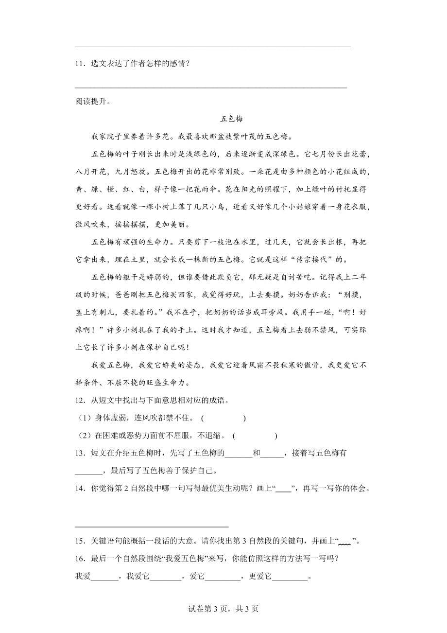 2022年部编版三年级下册期中测试语文练习卷（四）.docx_第3页