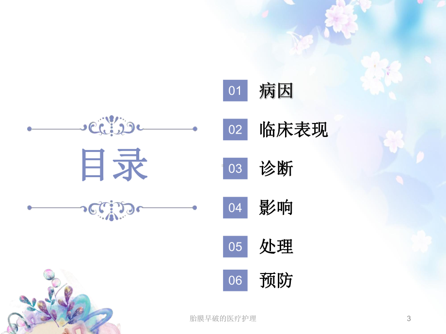 胎膜早破的医疗护理培训课件.ppt_第3页