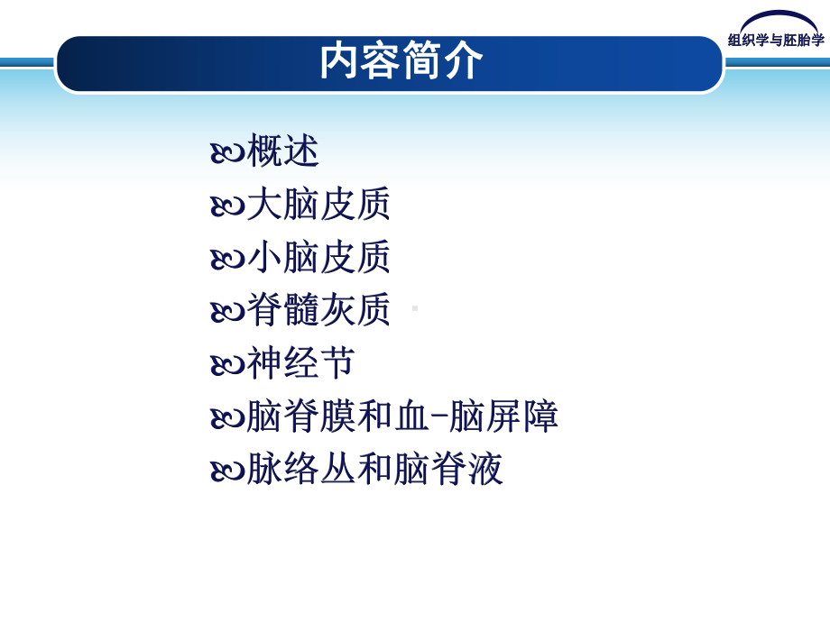 组织学与胚胎学第8章神经系统课件.ppt_第3页