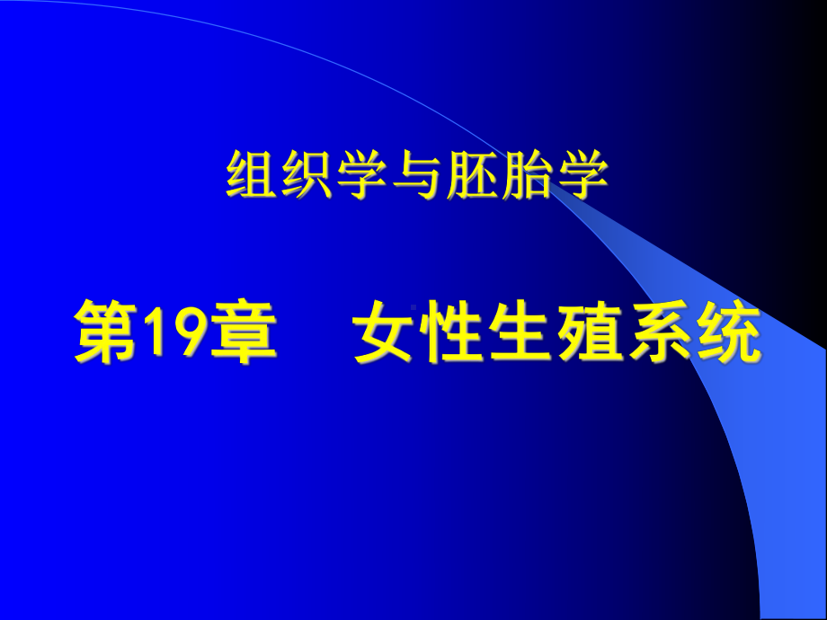 组织学与胚胎学-19章 女性生殖系统课件.ppt_第1页