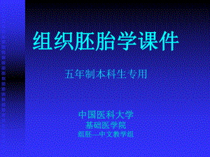 组织胚胎学课件 第16章 呼吸系统.ppt