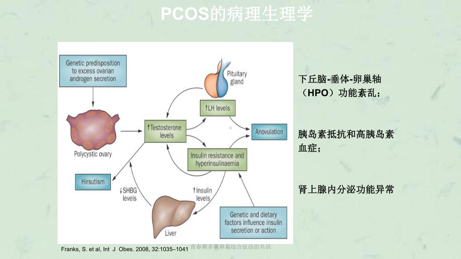 青春期多囊卵巢综合征诊治共识课件.ppt_第3页