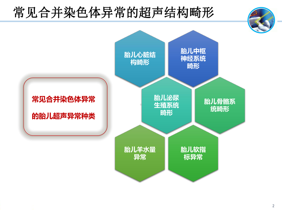 胎儿超声结构异常的遗传学诊断1课件.pptx_第2页