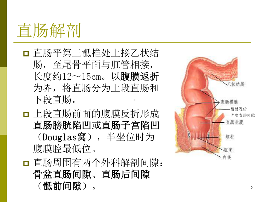 腹腔镜直肠癌根治术术中配合PPT课件.pptx_第2页